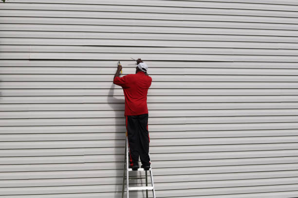 Best Steel Siding Installation  in Lexington, OK